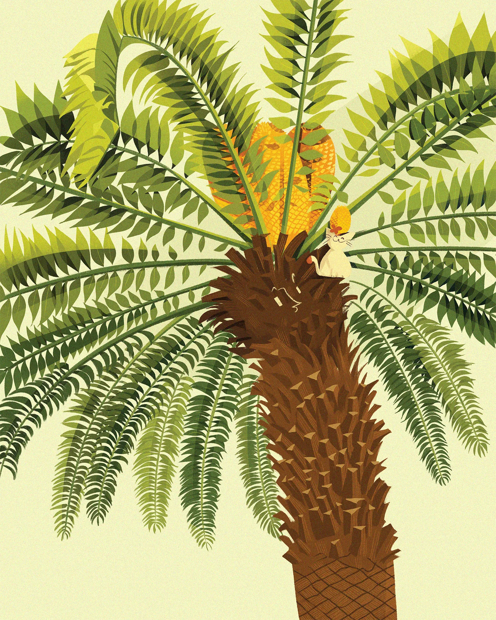 1-Encephalartos woodii